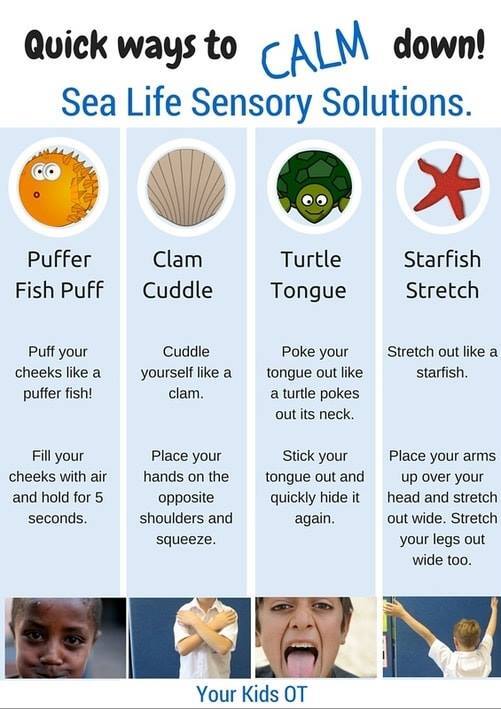 Sea Life Sensory Solutions