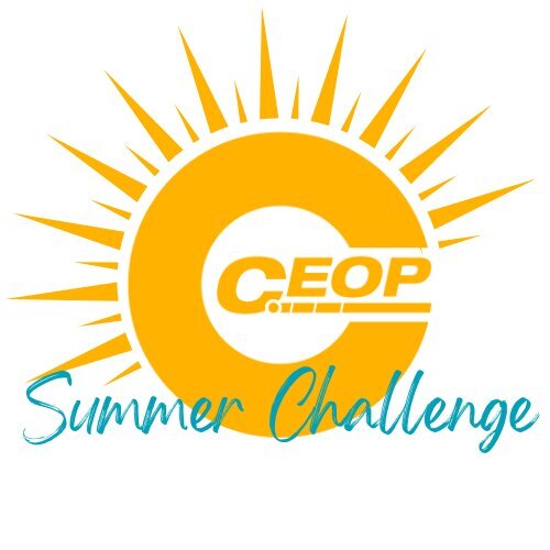 Summer challenge