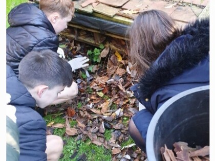 Temple Ewell Bug Hotel